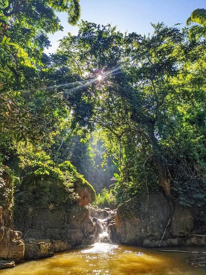 Vila Retreat Casita On 50-Acre Jungle Sanctuary Mayagüez Prázdninový dům