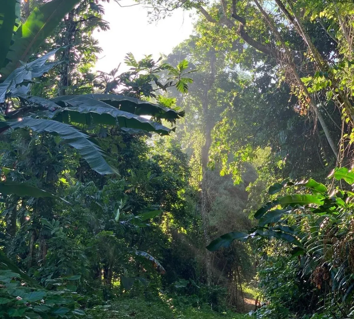 Prázdninový dům Vila Retreat Casita On 50-Acre Jungle Sanctuary Mayagüez