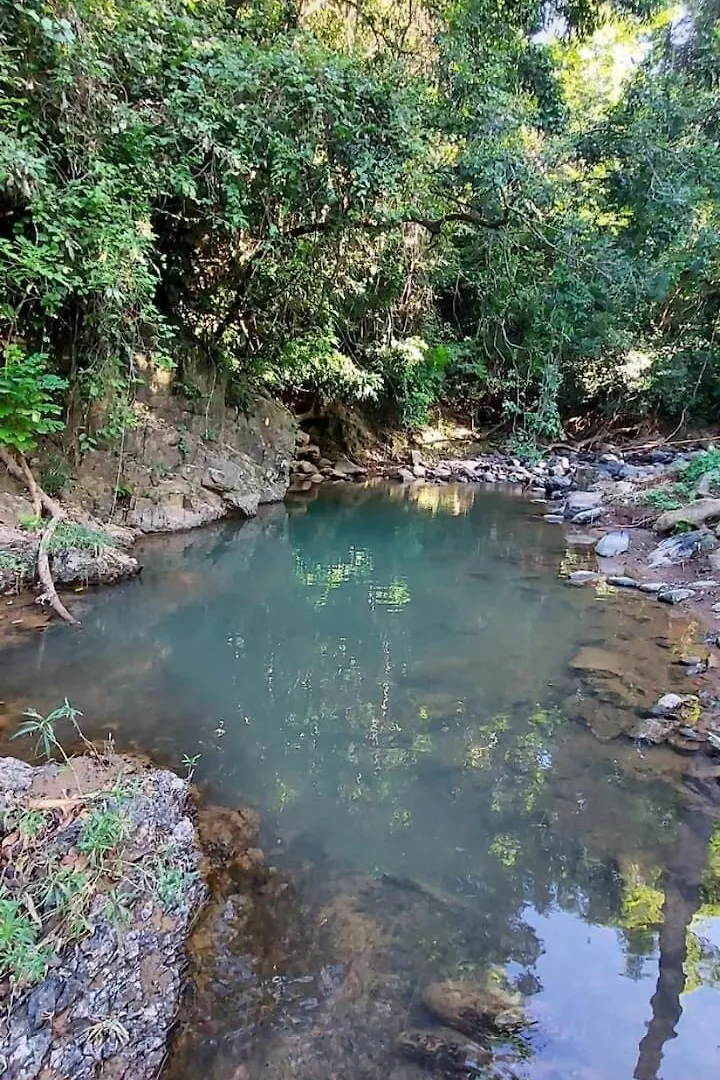 Vila Retreat Casita On 50-Acre Jungle Sanctuary Mayagüez Portoriko