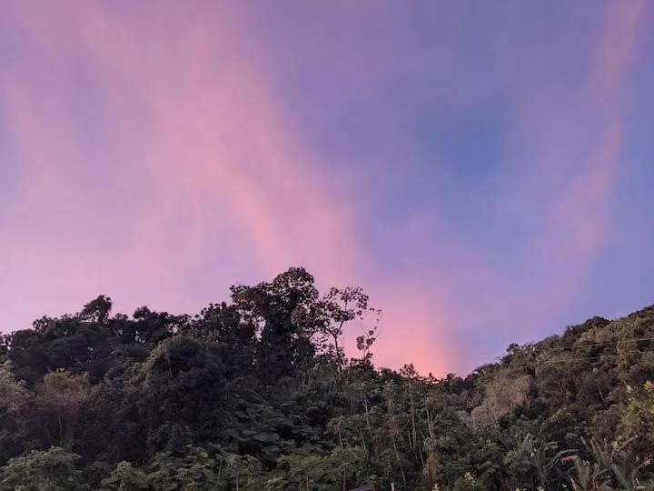 Retreat Casita On 50-Acre Jungle Sanctuary Villa Mayaguez Vakantiehuis