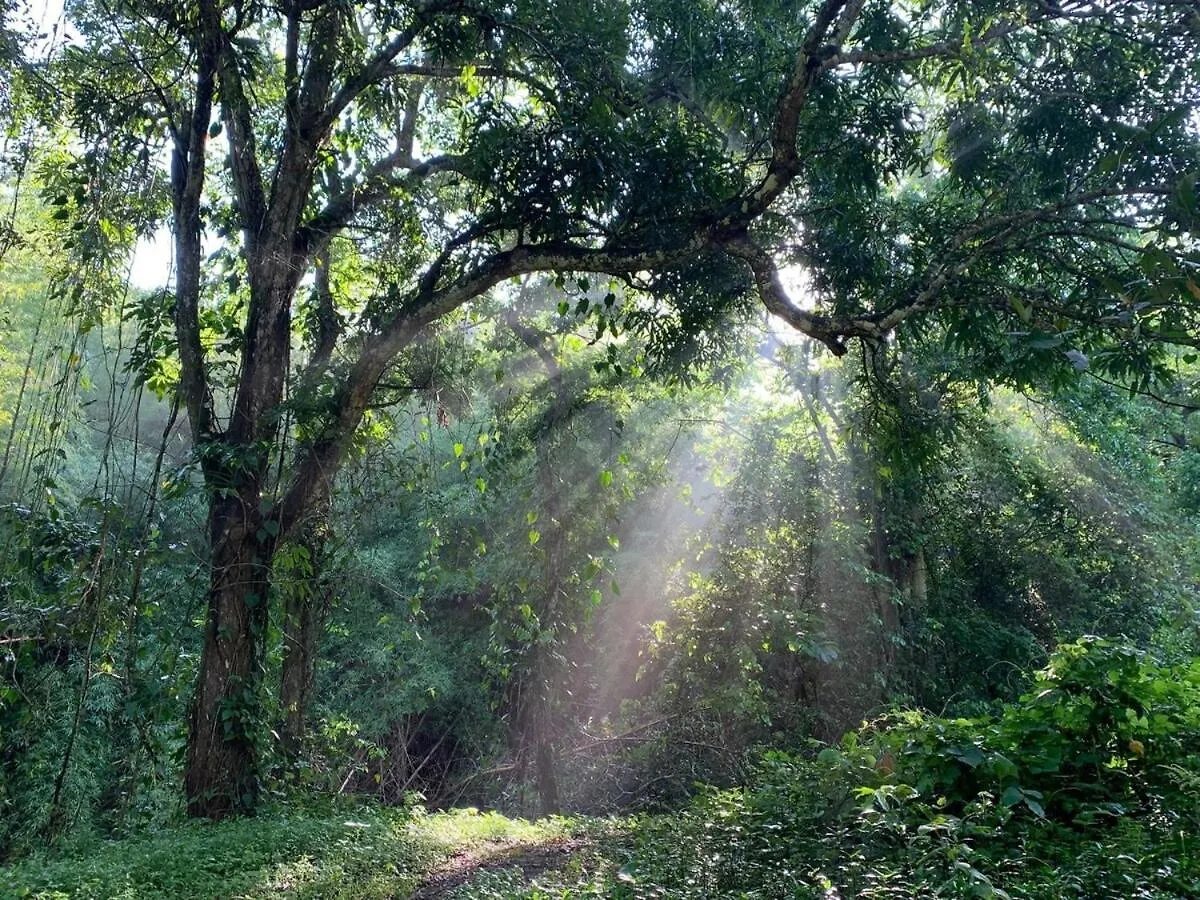 Vakantiehuis Retreat Casita On 50-Acre Jungle Sanctuary Villa Mayaguez