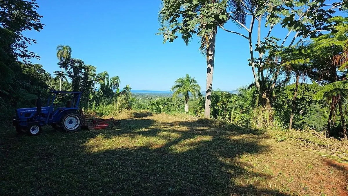 Retreat Casita On 50-Acre Jungle Sanctuary Villa Mayaguez Puerto Rico
